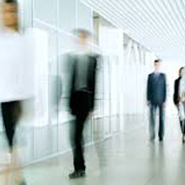 Polrif Group Team